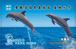 安徽省臨泉縣校園直飲水