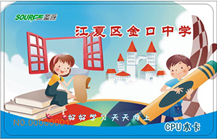 江夏區(qū)金口中學(xué)學(xué)校直飲水項目